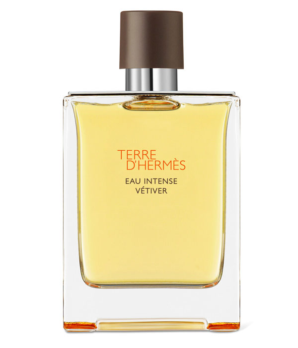 Terre d'Hermès Eau Intense Vétiver Eau de parfum, Hermès